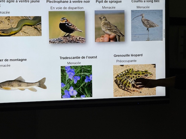 C-IMG_1787.jpg (134 KB)