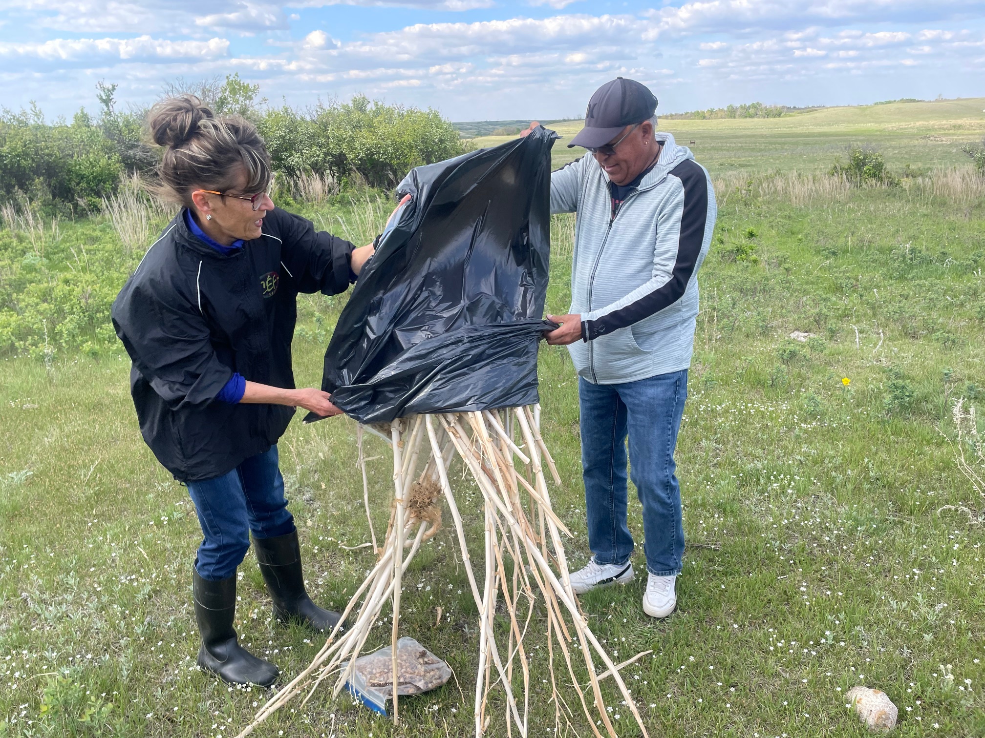 z arbre.jpg (1.46 MB)